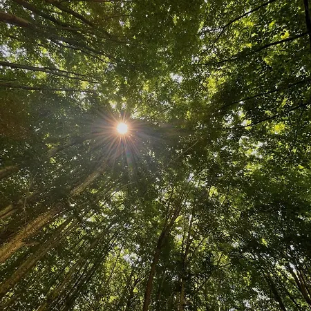 Hotel Bujtina Frati *