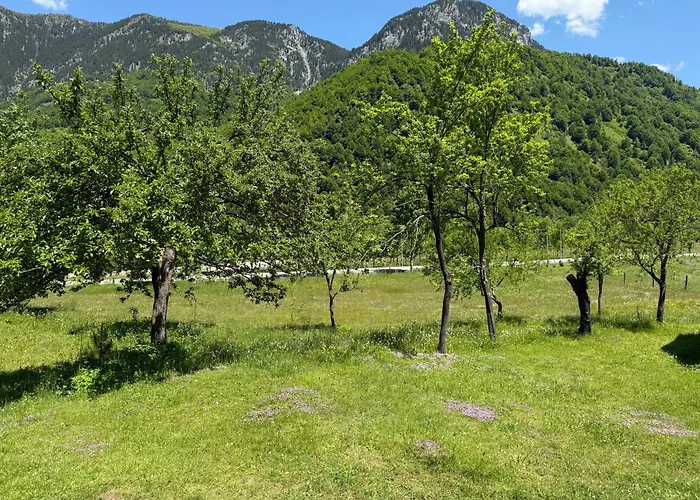 Bujtina Frati Hotel *