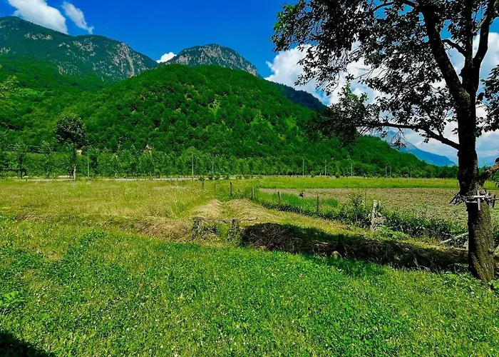 Bujtina Frati *