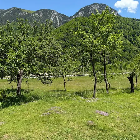 Bujtina Frati Hotel *